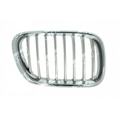 Решетка радиатора (правая) Titan TYG для BMW X5 (E53) 1999-2003 - фото