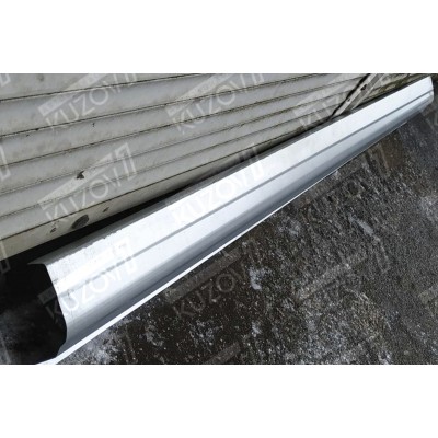 Порог (правый) БЕЛАРУСЬ для RENAULT LAGUNA 1998-2001 - фото