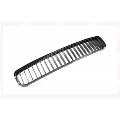 Решетка в бампер (центральная) TYG для SKODA ROOMSTER 2006-2010 - фото